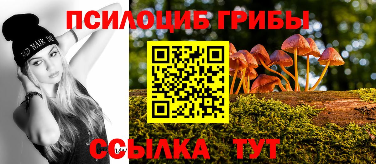 Галлюциногенные грибы Psilocybine cubensis Междуреченск