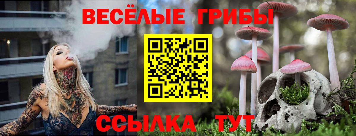 Междуреченск  Псилоцибиновые грибы мухоморы  Вход с VPN 